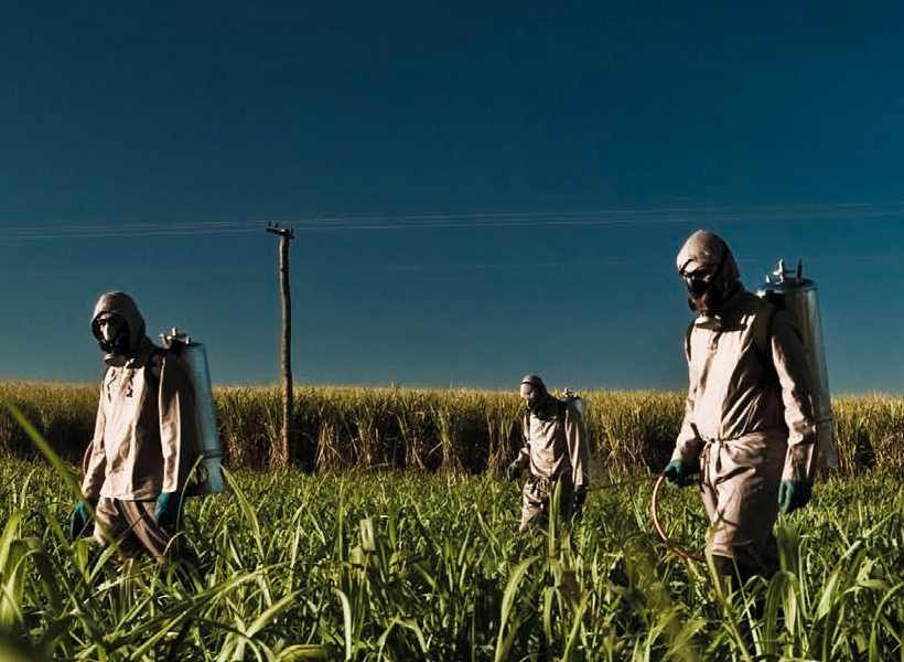 Arbeitende bringen Pestizide auf Sojafeld aus