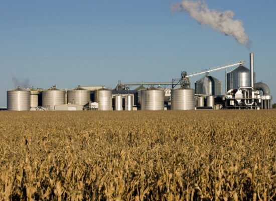 Weizenfeld mit einer Ethanol Raffinerie im Hintergrund