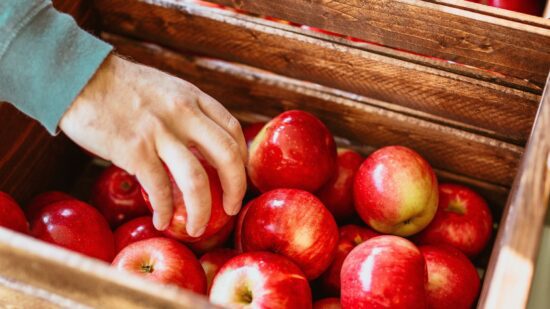 Holzkiste mit roten Äpfeln Hand greift einen Apfel