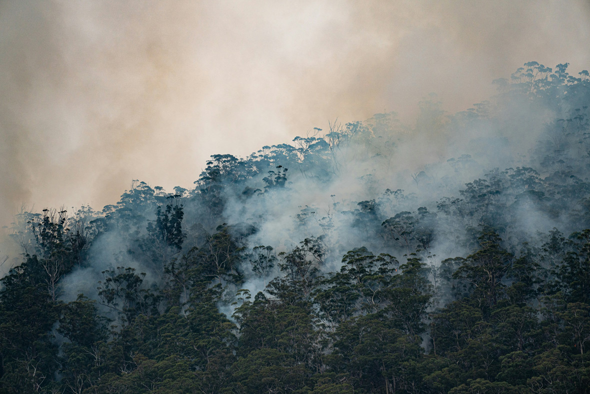 Bild von Waldbrand