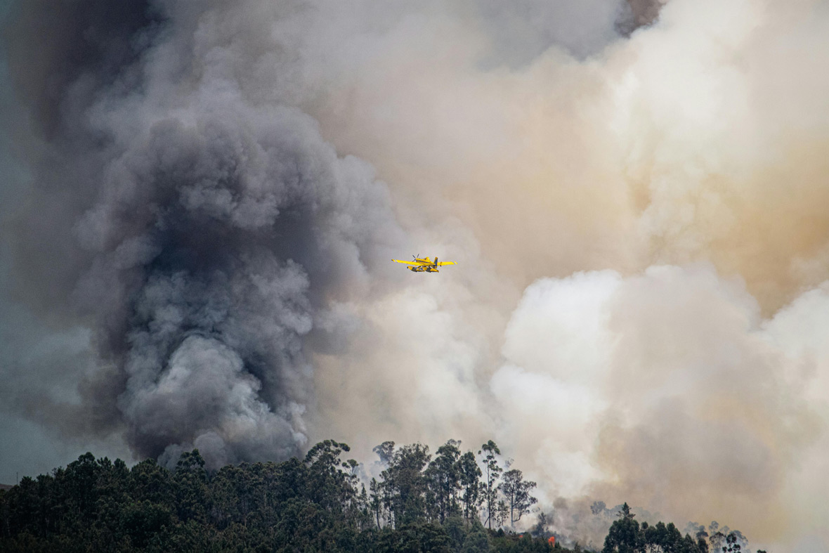 Bild von Waldbrand mit Löschflugzeug