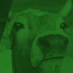 Cover photo Briefing EU-Mercosur Agreement