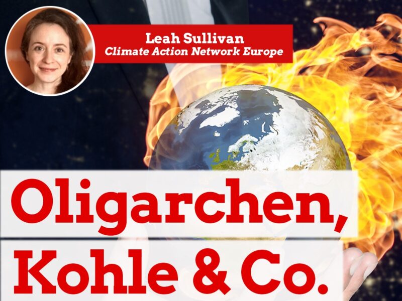 Europe Calling Webinar zu Konzernklagen: Wie Südafrika sich vom System der Schiedsgerichte befreit hat und wo Europa heute steht.